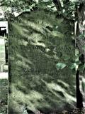 image of grave number 741066